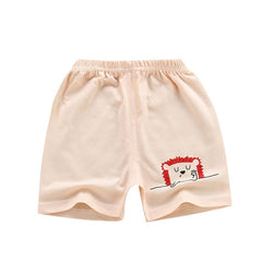 Boys Summer Cotton PP Shorts