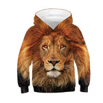 3-12 Years 3D Print Lion Hoodies Sweatshirt For Boys