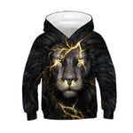 3-12 Years 3D Print Lion Hoodies Sweatshirt For Boys