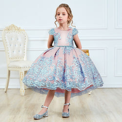 Princess Flower Embroidered Ball Gown Girls Party Dress
