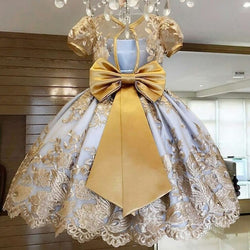 Princess Flower Embroidered Ball Gown Girls Party Dress